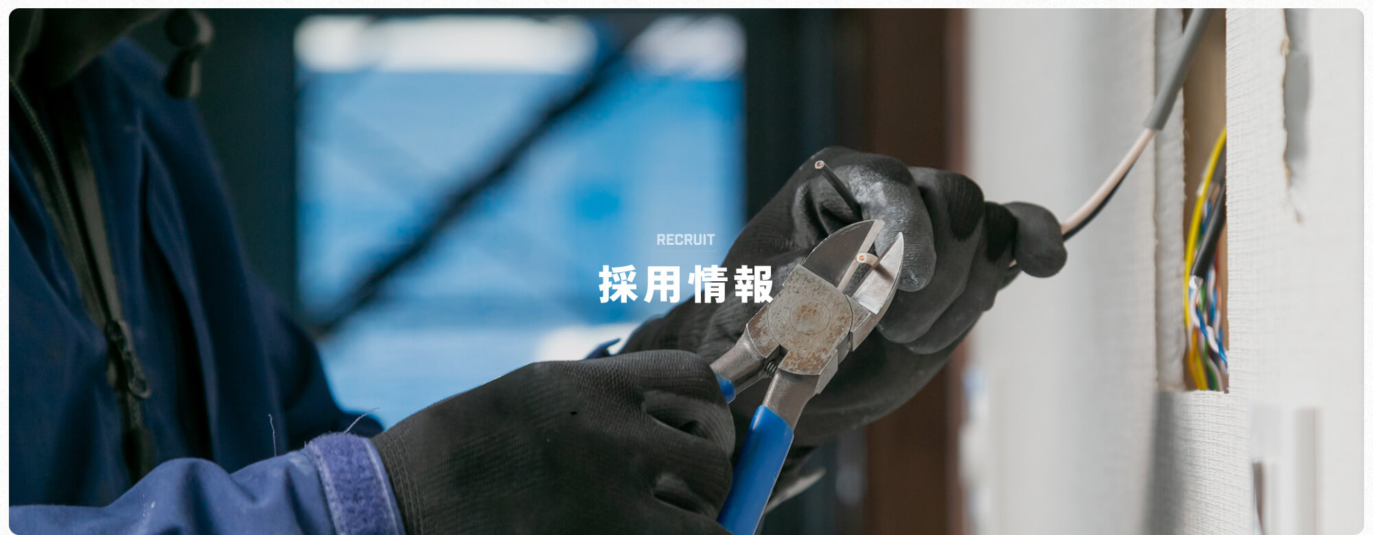 採用情報